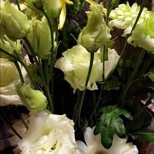 Meet your Posher, Kristine